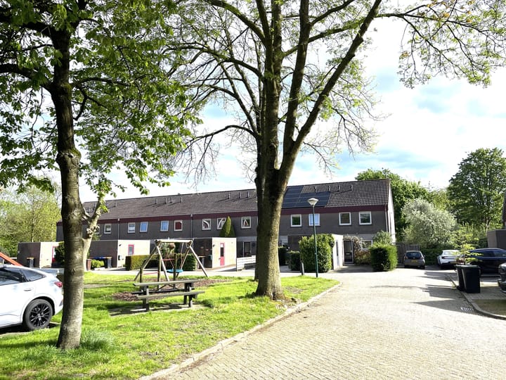 Kickestein 52