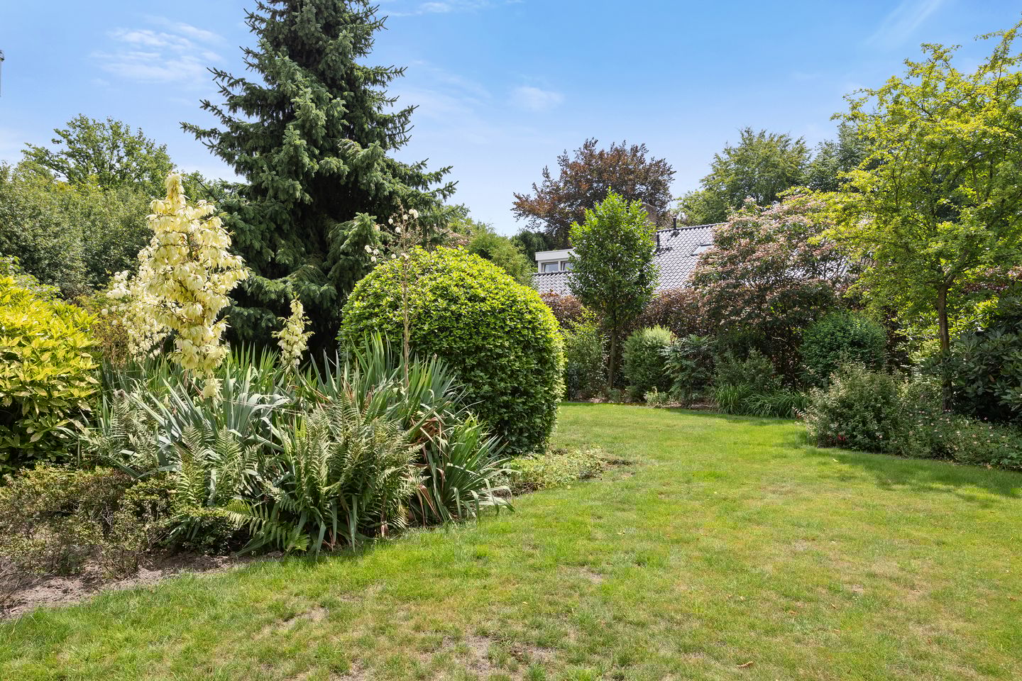 Foto 49 van Pastoor de Klijnlaan 15