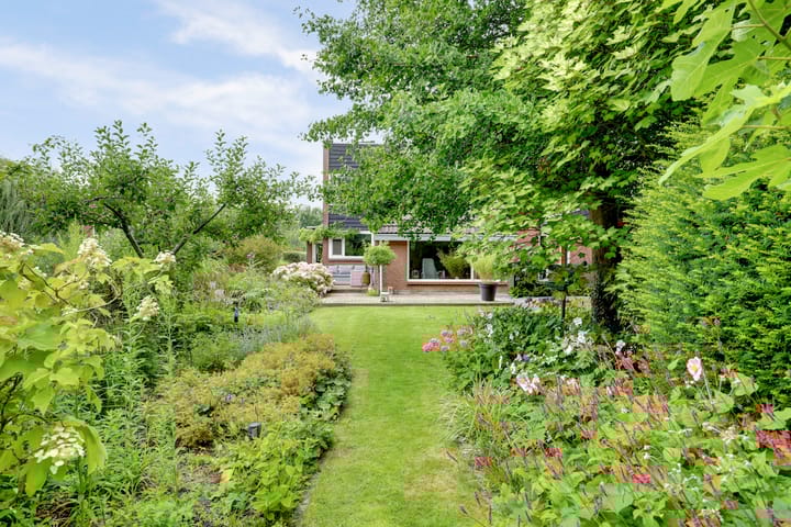 Foto 2 van Koperwiek 16