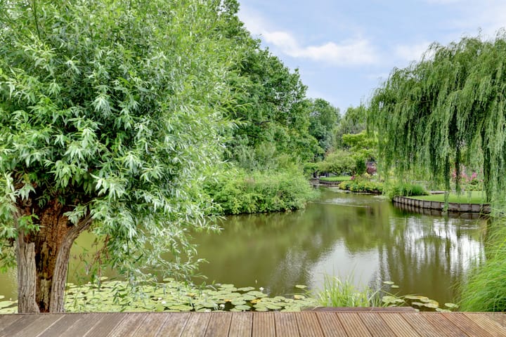 Foto 48 van Koperwiek 16