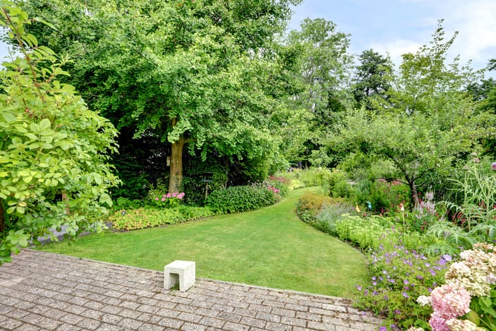 Foto 55 van Koperwiek 16