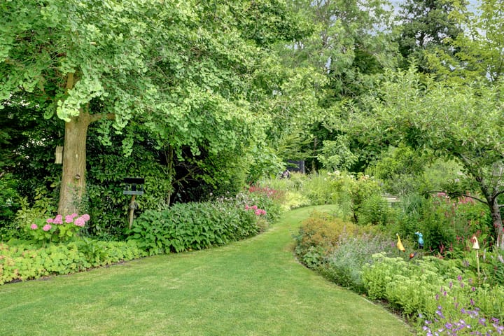 Foto 56 van Koperwiek 16