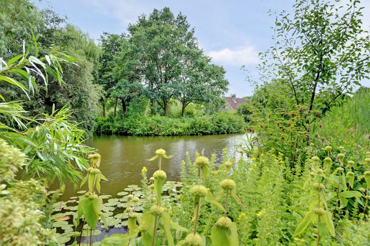 Foto 64 van Koperwiek 16