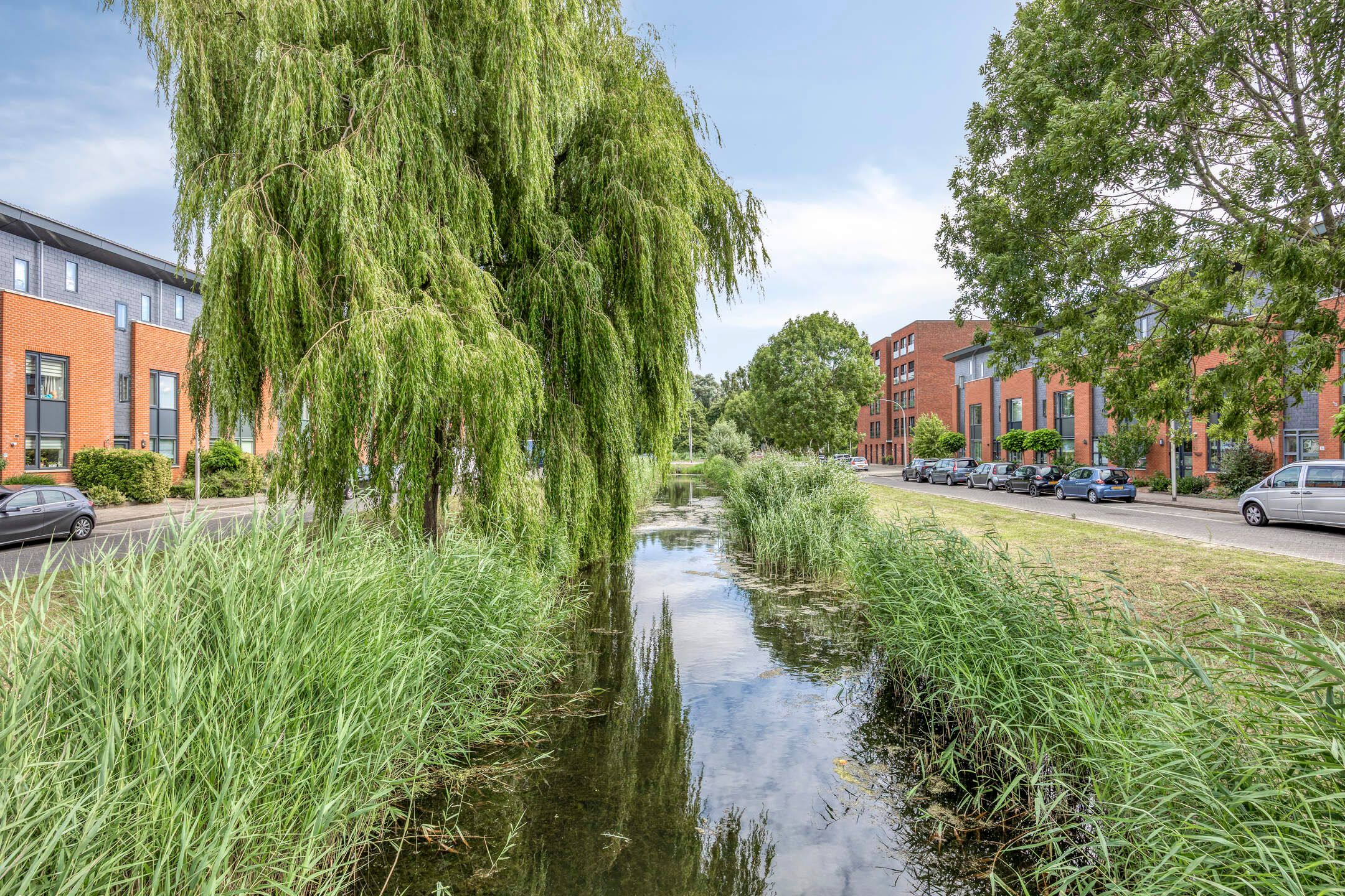 Photo 54 of Meersingel 31