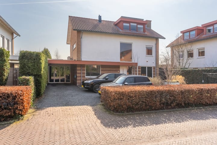 undefined main image