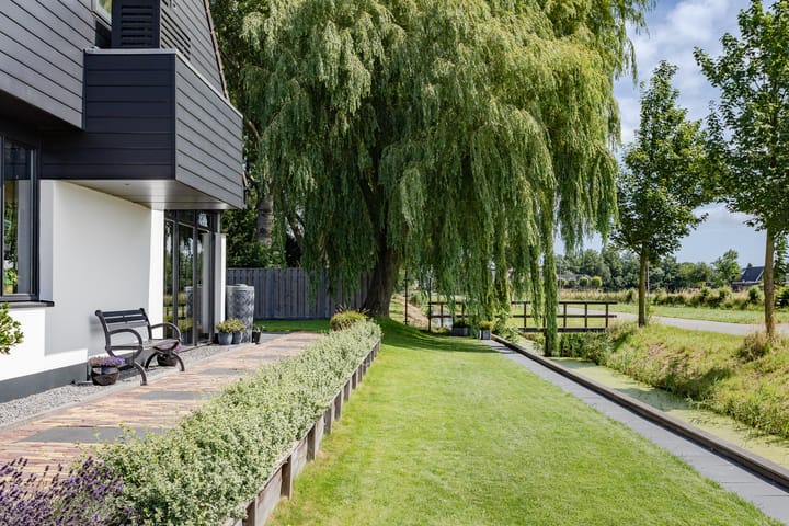 Foto 32 van Druijfplaats 19