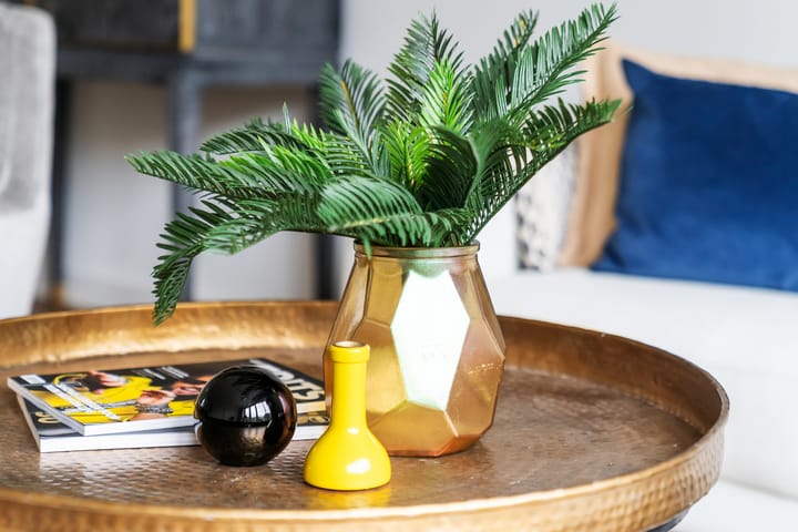 Foto 20 van Conusstraat 6