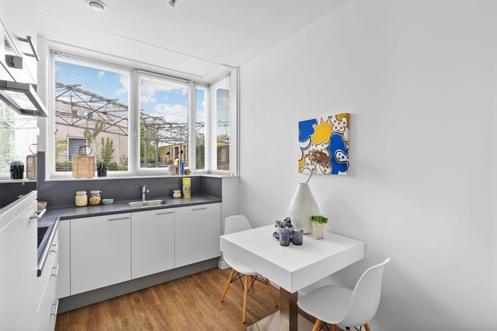 Foto 31 van Conusstraat 6