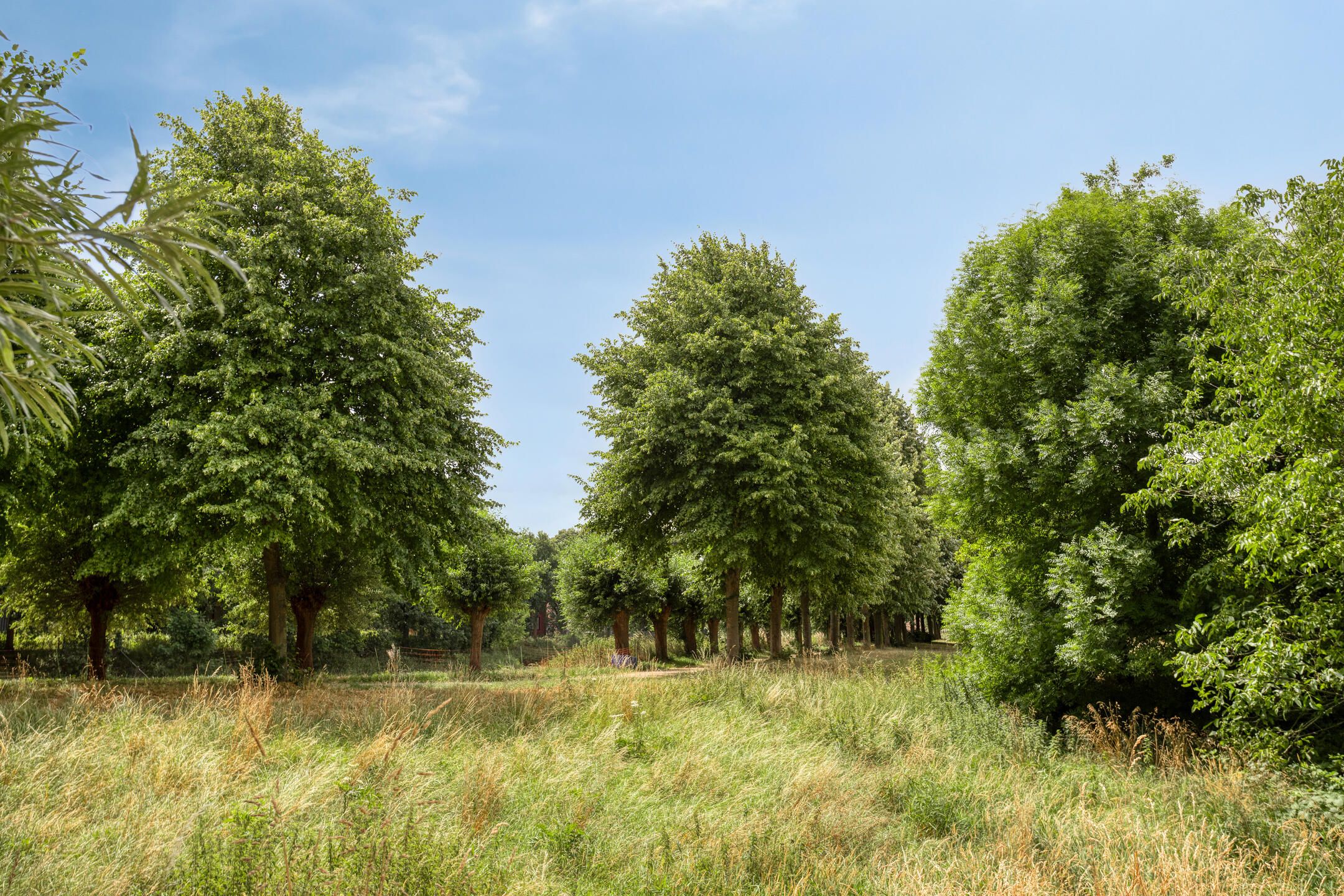 Foto 33 van Schoutenlaan 118