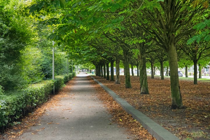 Photo 28 of Zoutweide 222