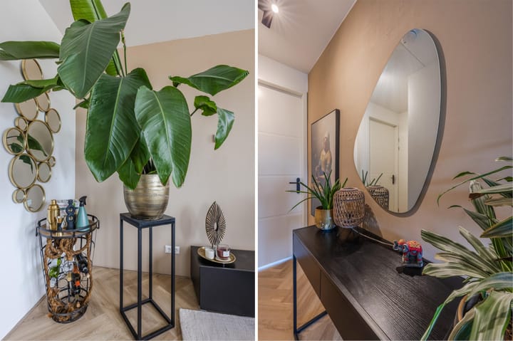 Foto 13 van Begoniatuin 193