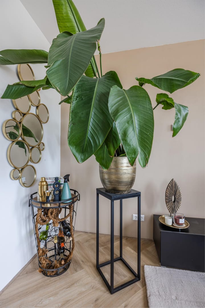 Foto 17 van Begoniatuin 193