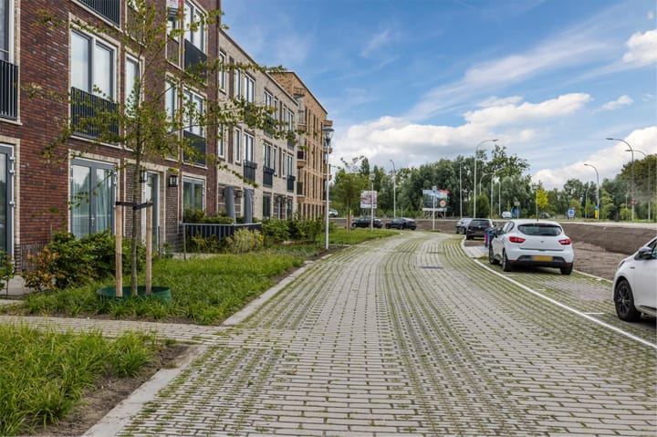 Foto 36 van Begoniatuin 193