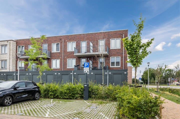 Foto 38 van Begoniatuin 193