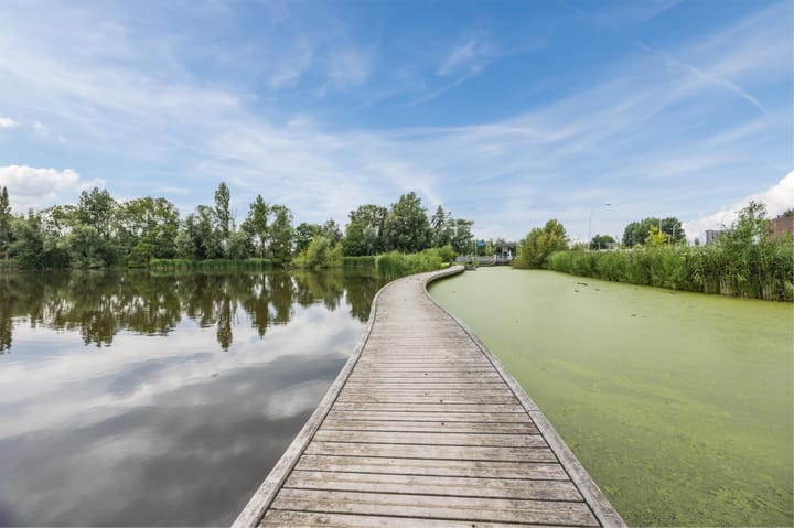 Foto 41 van Begoniatuin 193