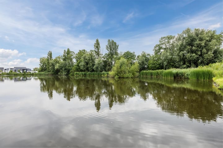 Foto 42 van Begoniatuin 193