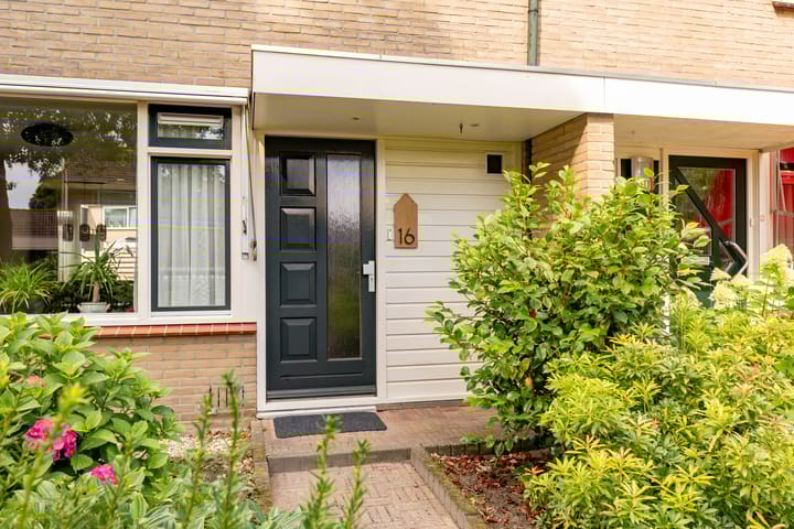 Foto 7 van Hazenpad 16