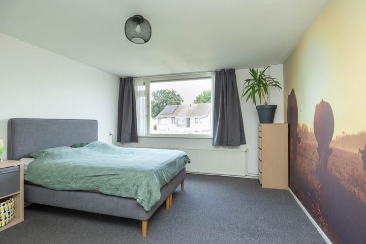 Foto 20 van Hazenpad 16