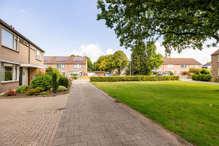 Foto 52 van Hazenpad 16