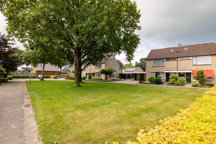 Foto 54 van Hazenpad 16