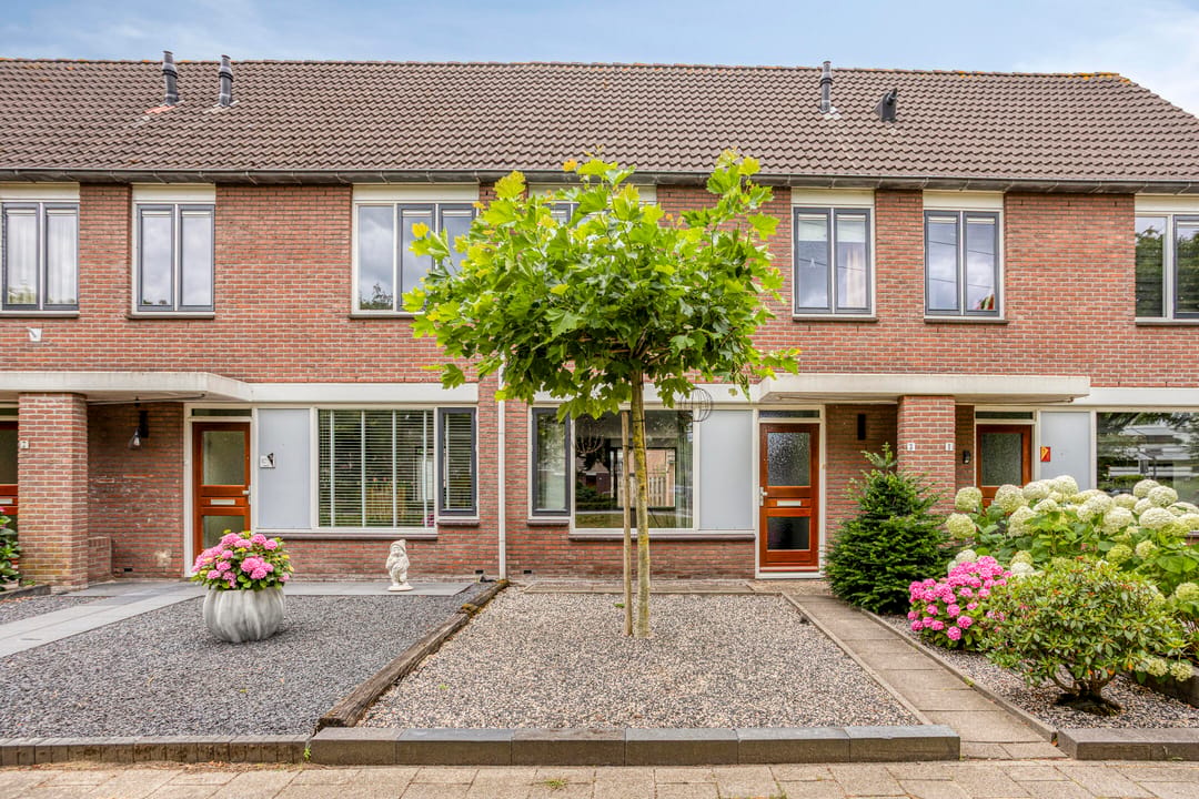 Foto 1 van Zebravink 3
