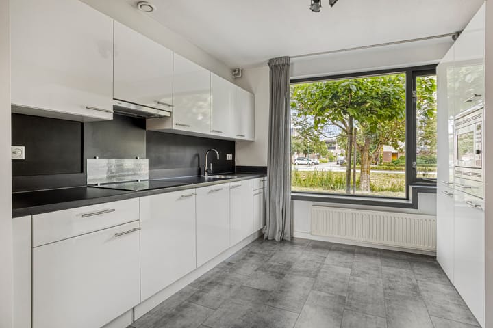 Foto 3 van Zebravink 3