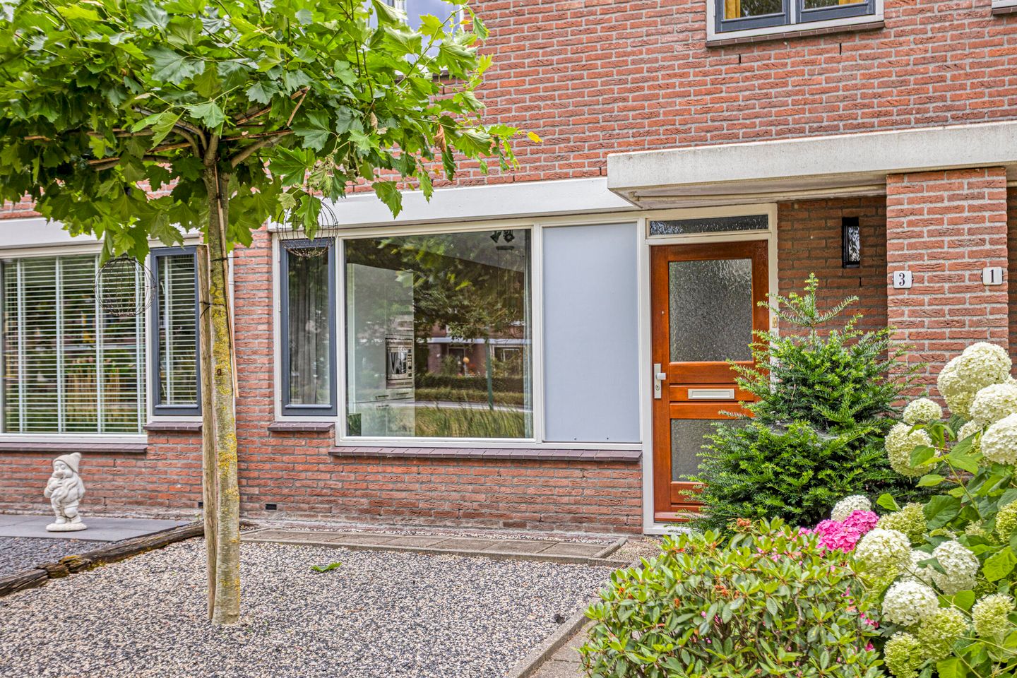 Foto 5 van Zebravink 3