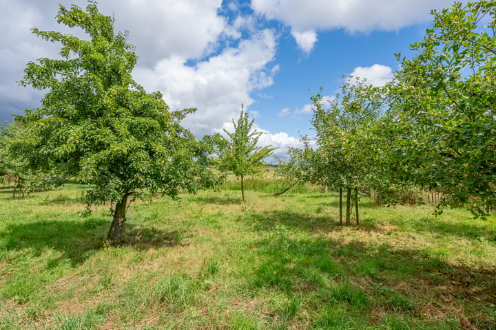 Foto 56 van Waalseweg 84