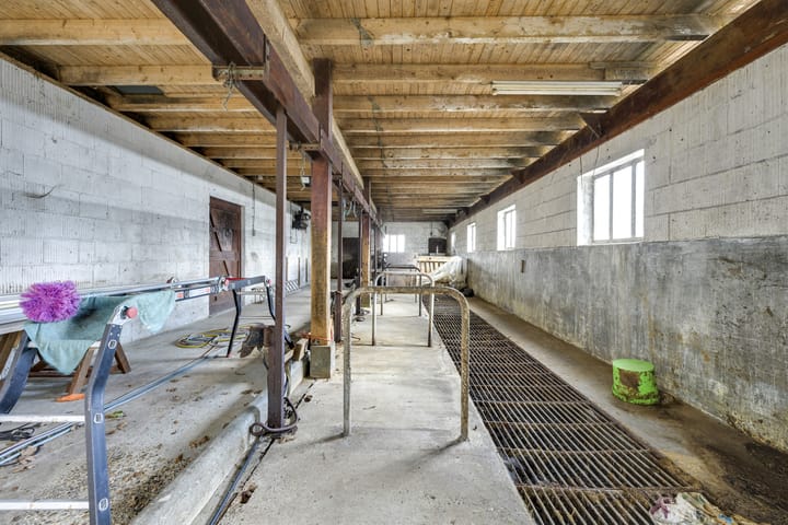 Foto 74 van Waalseweg 84