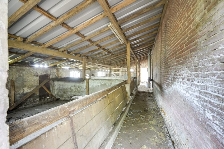 Foto 81 van Waalseweg 84