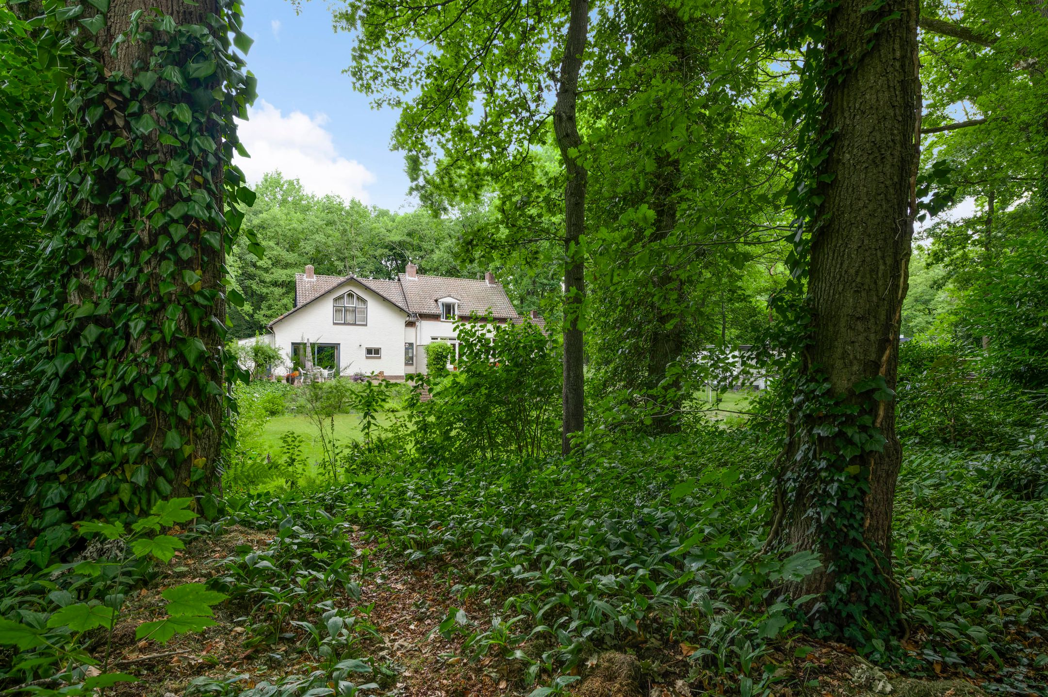 Photo 30 of Diesterbaan 9