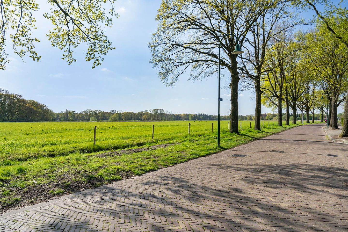 Foto 49 van Slotlaan 56