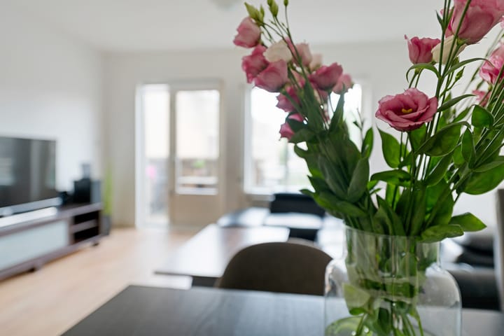 Foto 5 van Antilopespoor 399