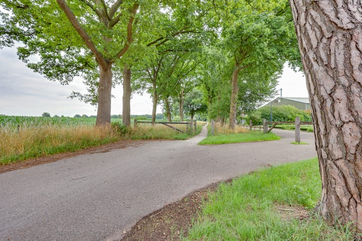 Foto 25 van Hooiweide 6