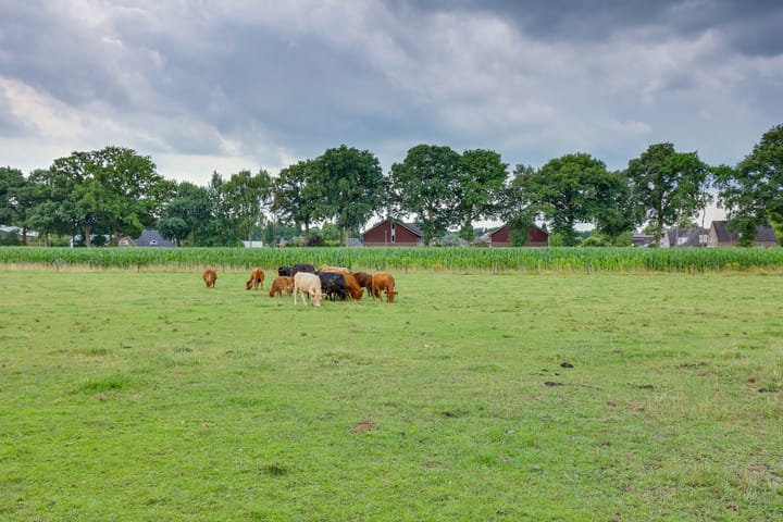 Foto 26 van Hooiweide 6