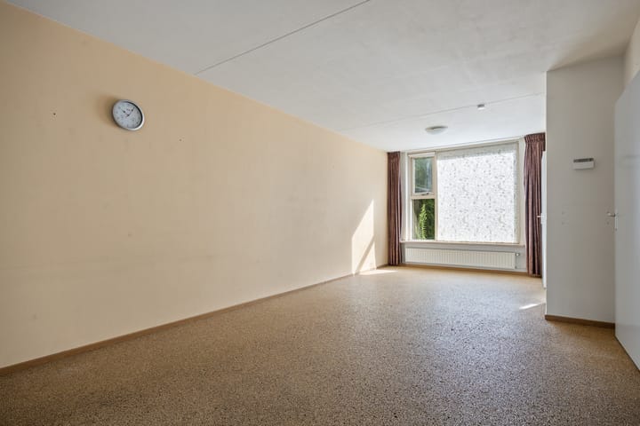 Foto 2 van de Esdoorn 34