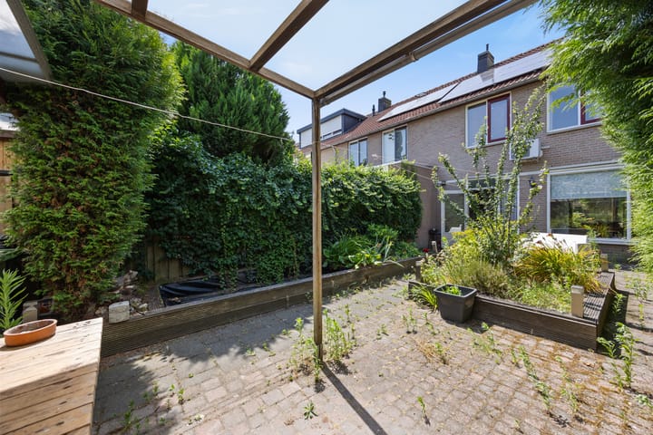 Foto 4 van de Esdoorn 34