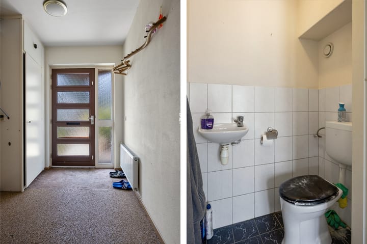 Foto 5 van de Esdoorn 34