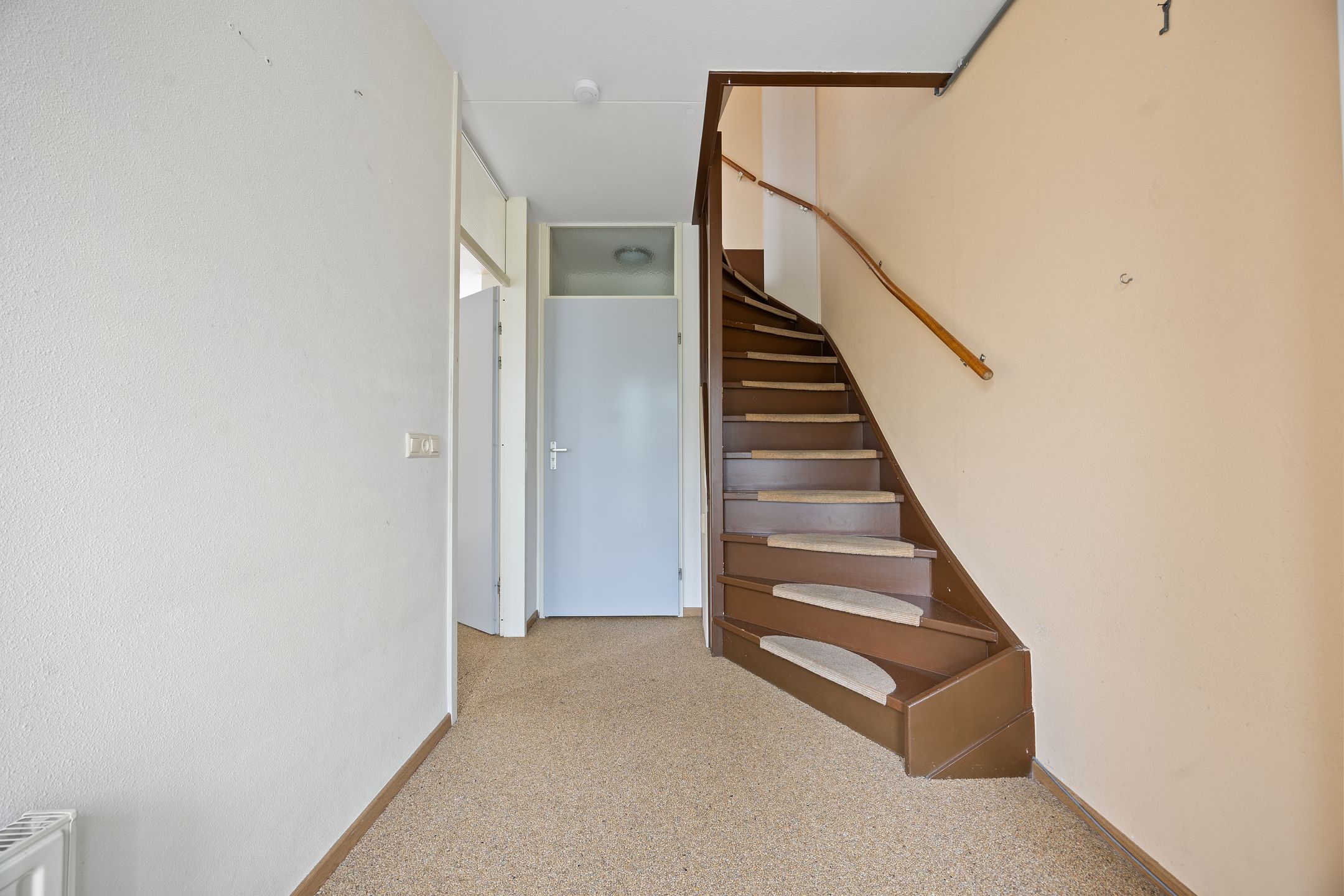 Foto 6 van de Esdoorn 34