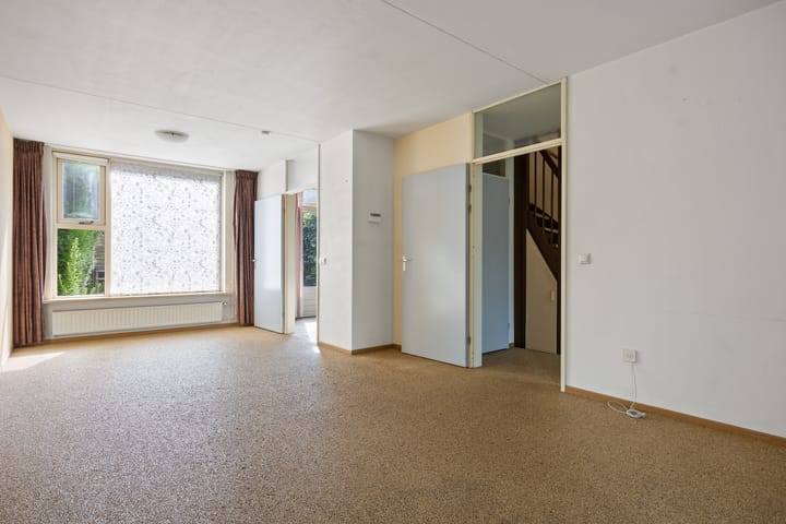 Foto 7 van de Esdoorn 34