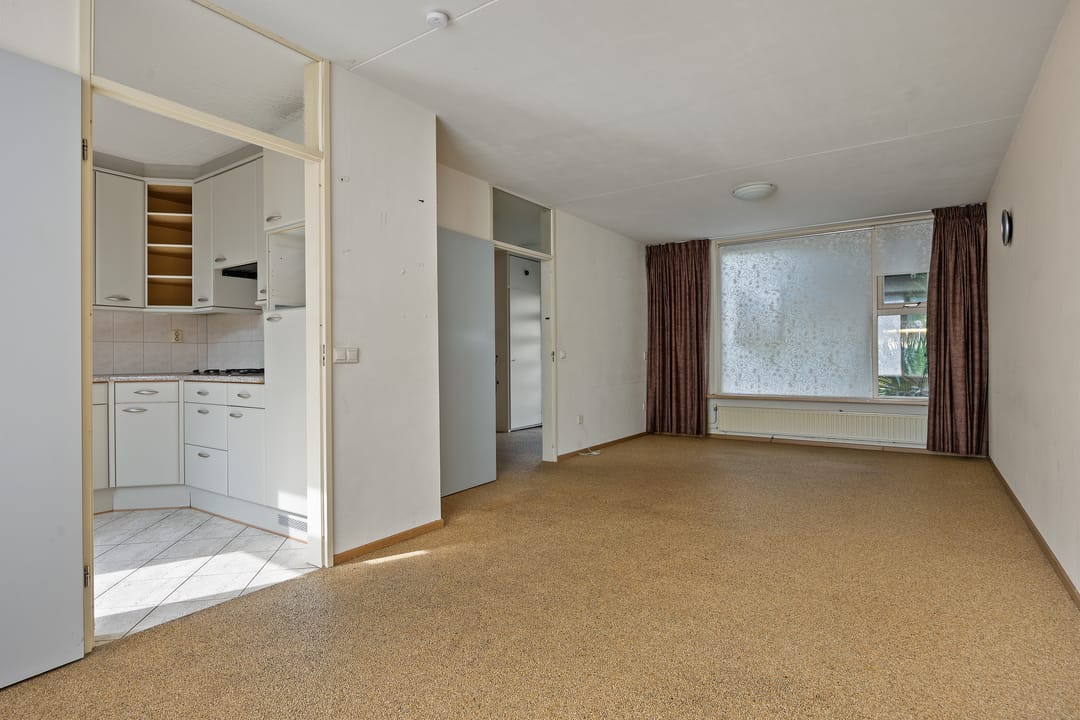 Foto 8 van de Esdoorn 34