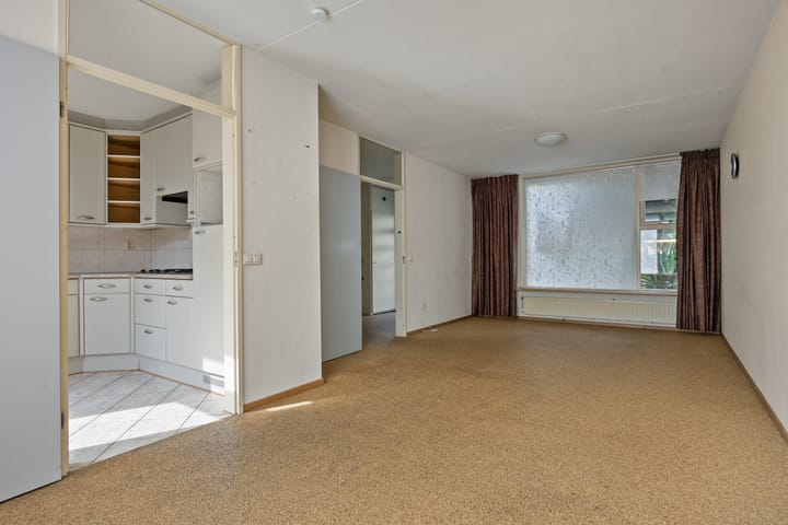 Foto 8 van de Esdoorn 34