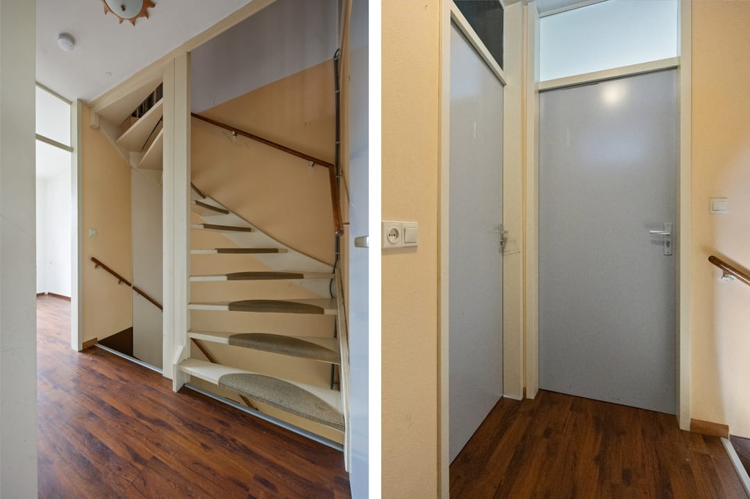 Foto 11 van de Esdoorn 34