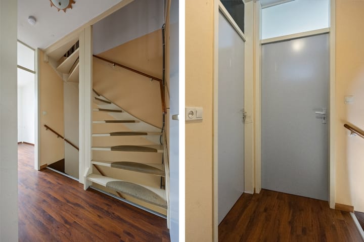 Foto 11 van de Esdoorn 34