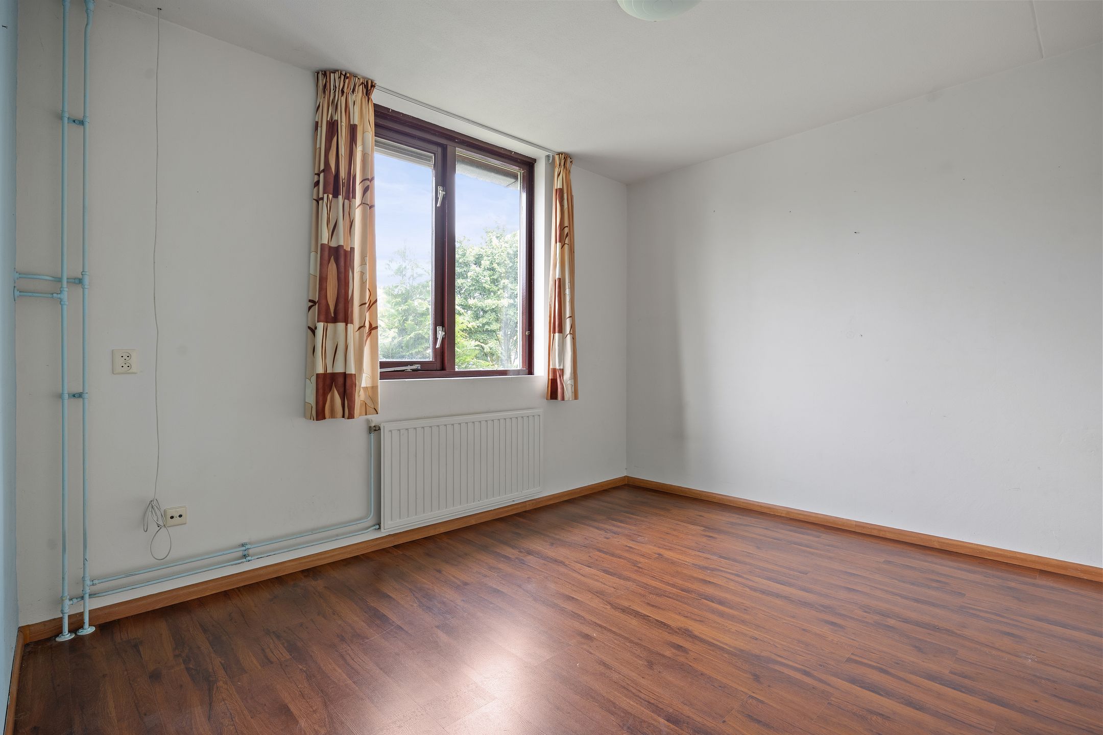 Foto 12 van de Esdoorn 34