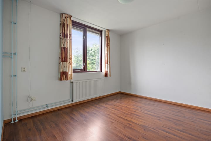 Foto 12 van de Esdoorn 34