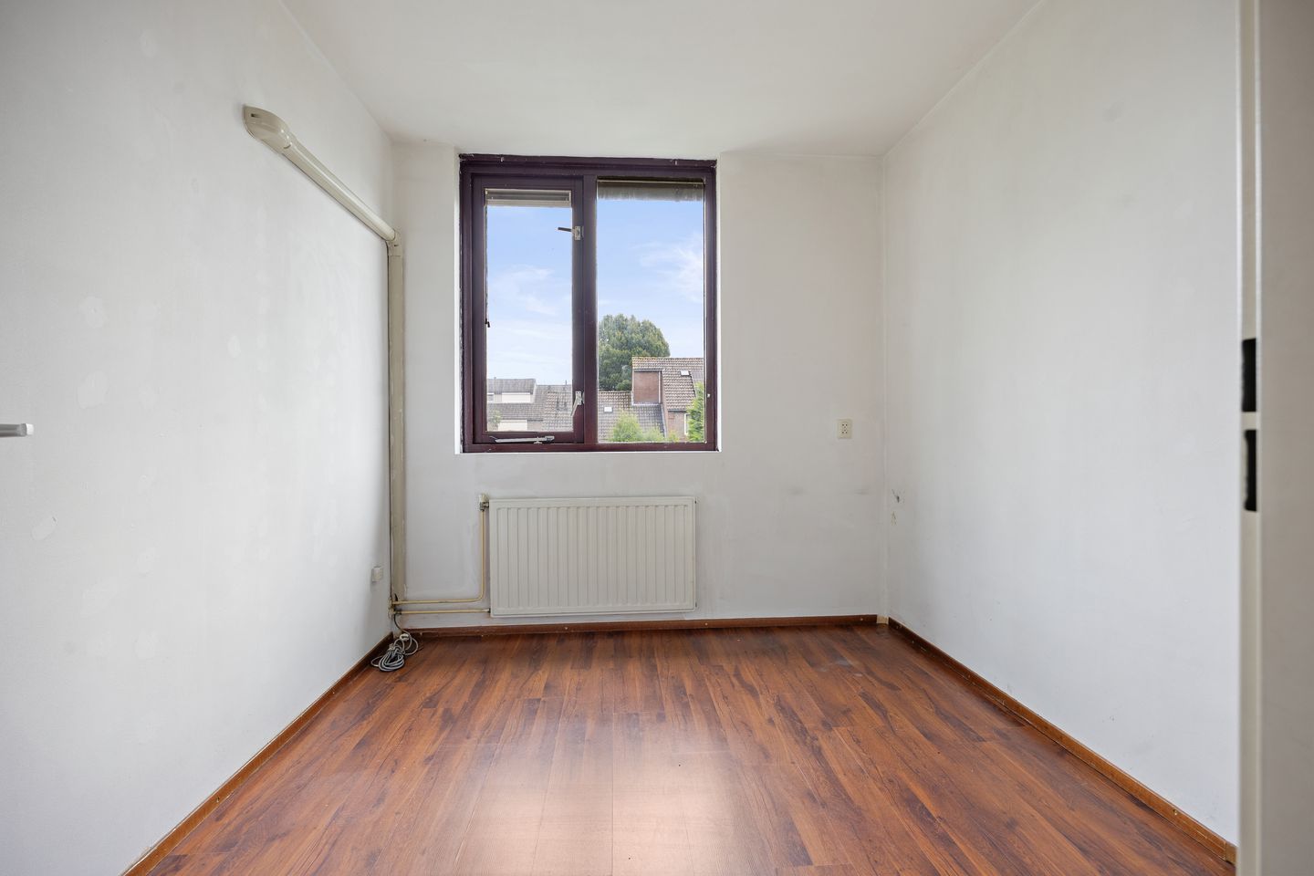 Foto 19 van de Esdoorn 34