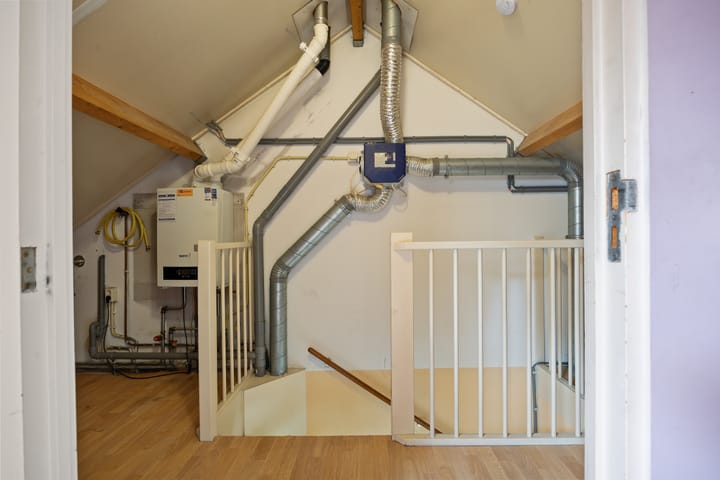 Foto 20 van de Esdoorn 34