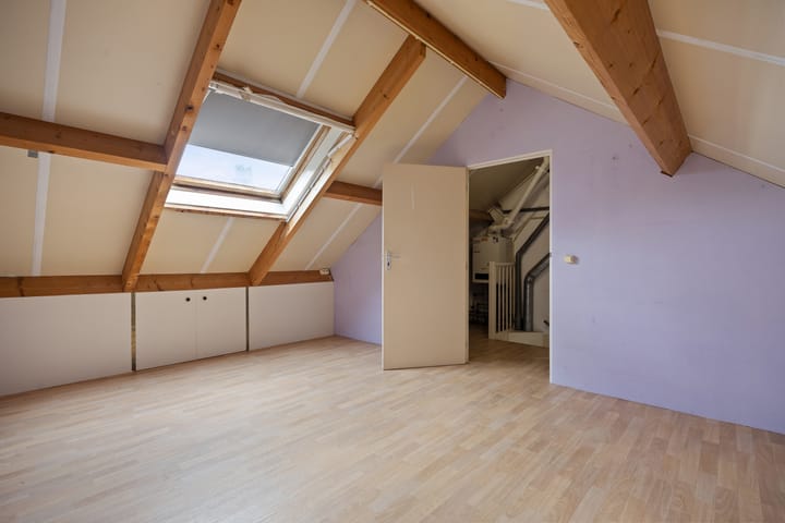 Foto 21 van de Esdoorn 34