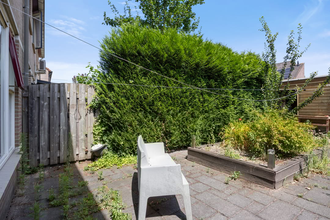 Foto 23 van de Esdoorn 34